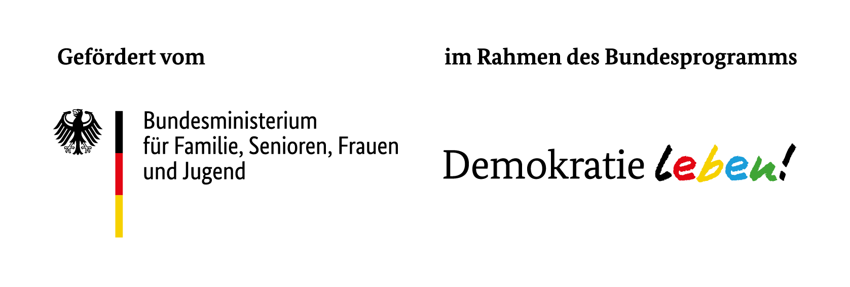 Logo-Schiftzug daneben.jpg 2025-02-12 BMFSFJ_DL_mitFoerderzusatz(1).png