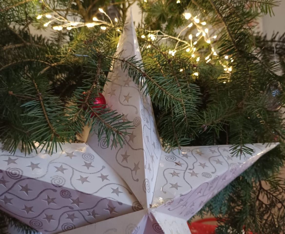 Bild Weihnachtsstern_1.jpg